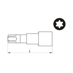 Boca torx con vaso de 1/2" acesa