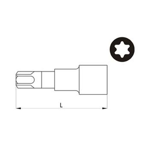 Boca torx con vaso de 1/2" acesa