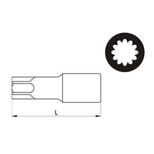 Embout torx 12 pans avec six pans de 10 mm