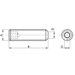 Tornillo din-913 sin cabeza con hueco hexagonal y extremo biselado, de acero inoxidable a2 y rosca métrica.